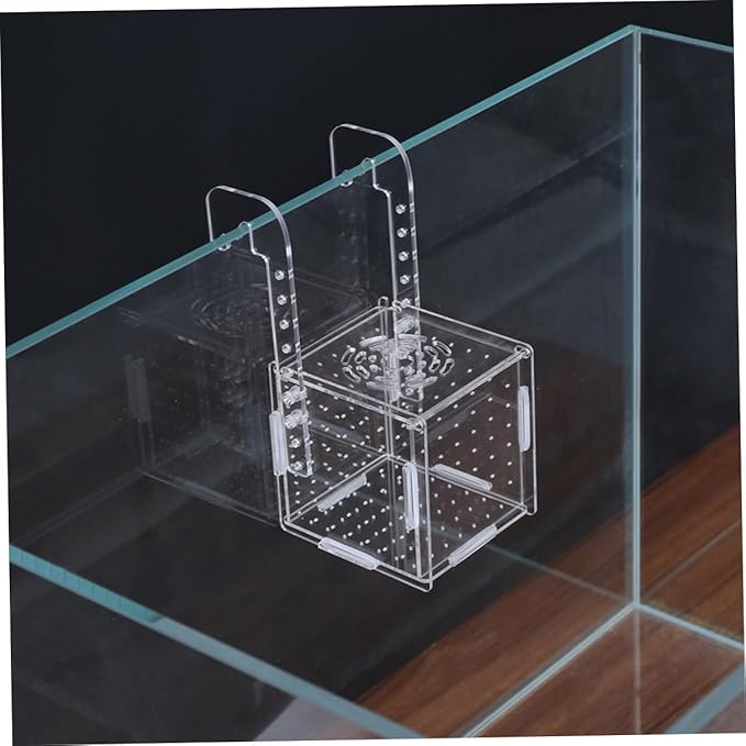 BESPORTBLE 2pcs Fish Tank Breeding Isolation Box Transparent Aquarium Incubator Fish Holder Hook Easy to Clean Safe for Breeding Improves Juvenile Survival Rate