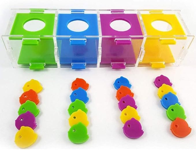 Litewoo Bird Intelligence Training Toy Color Separation Coin Box Education Interactive Playing Puzzle Toy for African Grey Parakeet Cockatiel Cockatoo Finch Canary Budgie Conure Lovebird Amazon