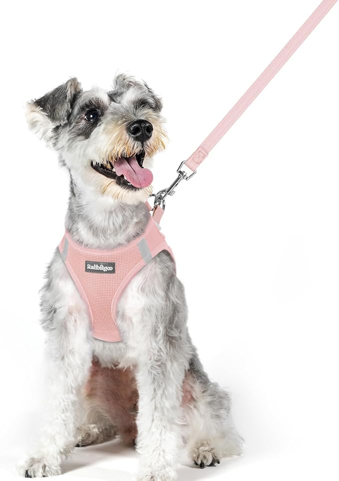 rabbitgoo Dog Harness Small Sized and Leash Set, Step in Soft Light Puppy Vest, Breathable Mesh Pet Harness, Reflective for Outdoor Safe Walking, Pink XL