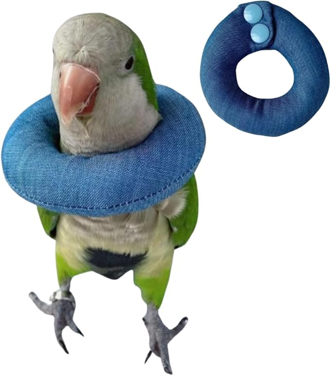 Parrot Neck Collar Pet Anti-bite Picking Feather Healing Protective Neck Cover Collar for Birds Conures Cockatiels Lovebirds Budgies Cockatoos African Grey Random Color (S)