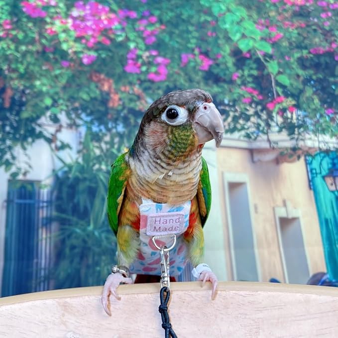 Bird Clothes Parrot Diapers Bird Flight Suits, Reusable Waterproof Diapers pet Bird Supplies (Without Rope, 2M)