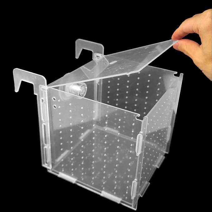 5.9 x 5.9 x 5.9 inch Acrylic Fish Breeding Box, Transparent Isolation Hatchery Incubator with Suction Cups for Guppy Shrimp Small Baby Fishes Aquarium Nursery Tank