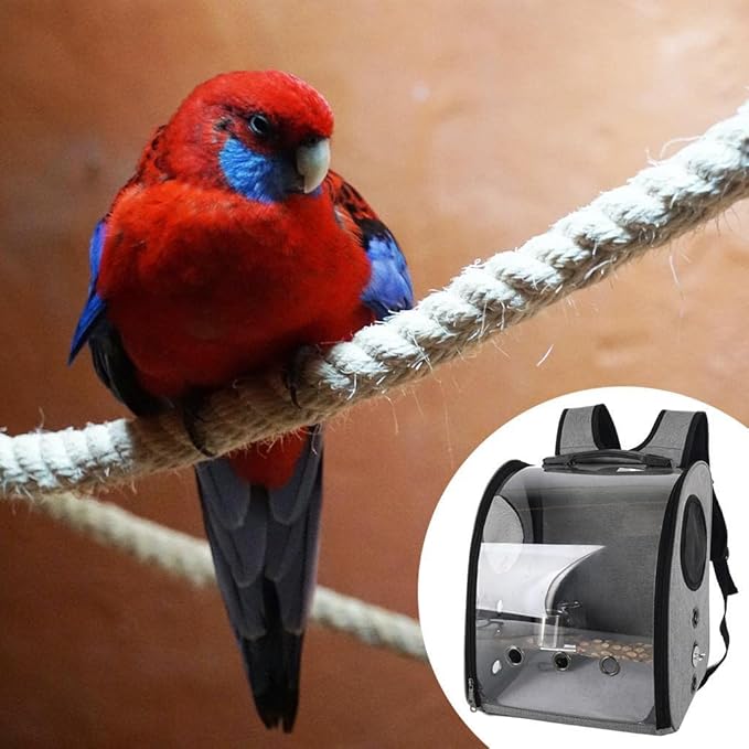 Compact Carrier for Birds with Clear View and Travel Features, Gray