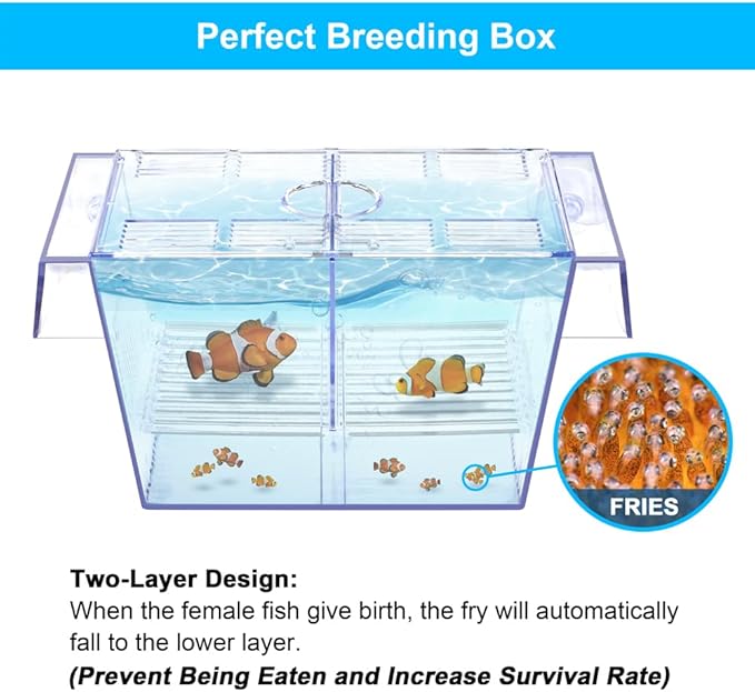 Fish Breeding Box Aquarium Holding Tank Transparent Fish Isolation Box Acclimation Hatchery Incubator Breeder for Betta Shrimp Clownfish Guppy