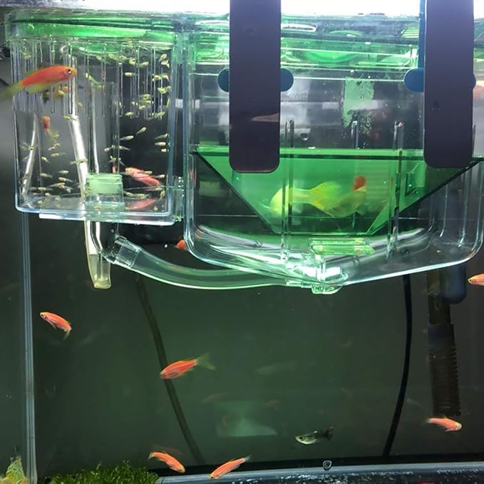 Self-Guided Isolation Box for Fish Breeding Transparent Hatching Tank for Aquariums Protects Juvenile Fish and Shrimp