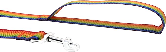 Nylon Training Dog Leash for Small Medium Large Dogs, 15ft 20ft 30ft 50ft Long Leash Dog/Puppy Lead for Obedience Recall Training, Camping (1" x 20ft, Rainbow)