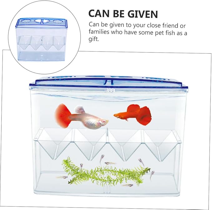 Small Fish Breeding Box Freestanding Incubator Suction Cups No Gap Isolation Tank for Fish Hatching and Reproduction