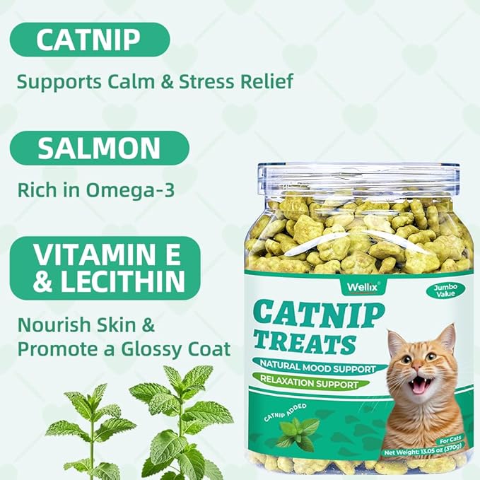 Wellix 13.05oz Catnip Treats for Cats -Healthy Cat Treats for Indoor Cat with Digestive Support - Crunchy Kitten Snacks for Training Biscuits,Food Toppers,Dental Chews with Real Salmon