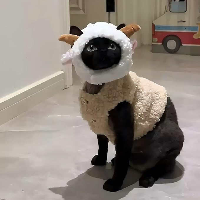 Warm Fleece Lined Winter Clothing for Sphynx & Devon Rex Cats | Soft Faux Lamb Wool | Cozy and Comfortable (Sheep Costume,Sheep hat with Horns)