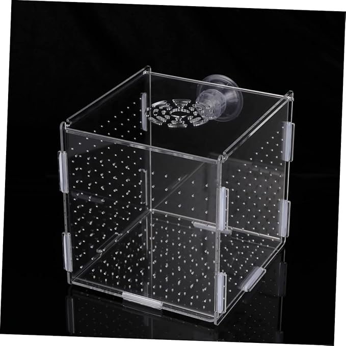FRCOLOR Modern Fish Tank Isolation Box Clear Aquarium Breeding Box Suction Cup Ideal for Guppies and Betta