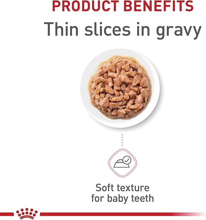 Royal Canin Feline Health Nutrition Kitten Thin Slices in Gravy Cat Food, 3 oz (Pack of 24)