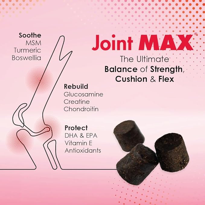 TS Joint Supplement Vet Formulated Pain & Inflammation Relief Treats Hip Dysplasia & Arthritis.Glucosamine, Chondroitin, Turmeric, MSM, HA, Creatine, Omega 3 EPA+DHA. All Dogs 240 Soft Chews
