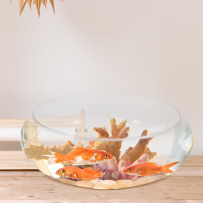 VOSAREA Betta Tank Water Lily Bowl Planter Lotus Hydroponic Container Succulent Bowl Clear Glass Fish Tank Bowl Chinese Daffodil Pot Aquatic Plant Pot Round Shallow Planter L