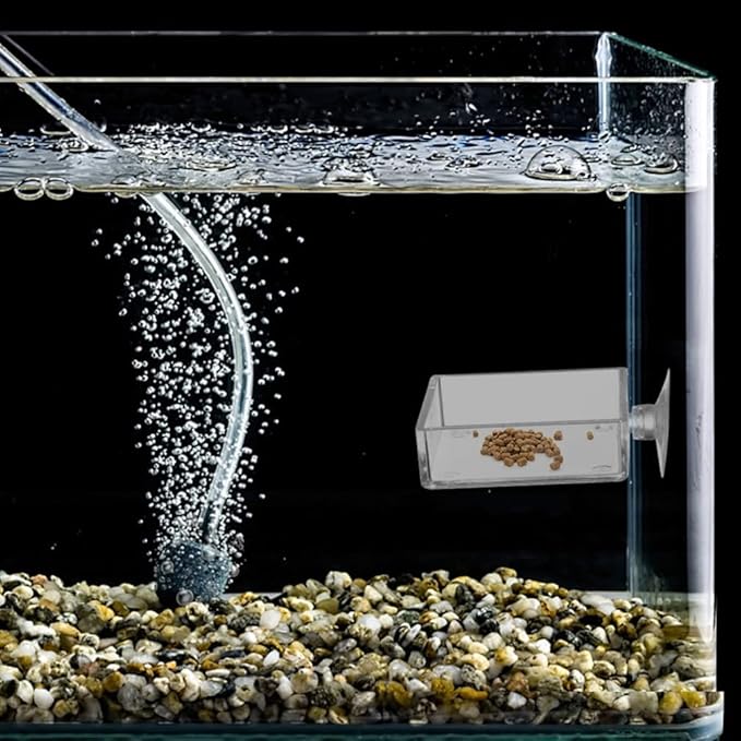 GANAZONO 6pcs Reptiles Food Dishes Feeder Bowls Square Dishes Trays Fish Tank Suction Cups Shrimp Feeder Aquarium Accessories