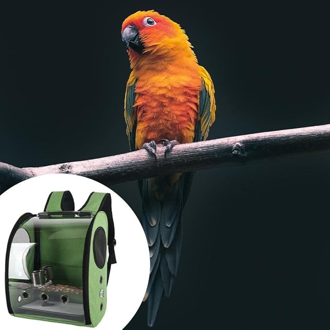 Compact Carrier for Birds with Clear View and Travel Features, Green