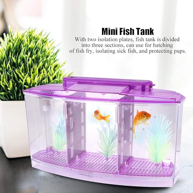 Acrylic Aquarium Isolation Box,Mini Fish Tank Breeding Hatchery Small Fishes Incubator with Three Divisions and LED Light(Purple)
