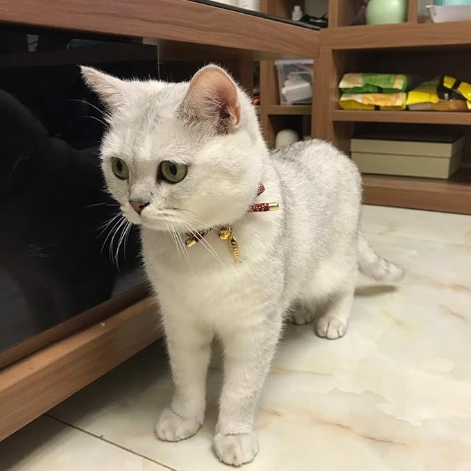 PetSoKoo Cute Bowtie Cat Collar with Bell. Japanese Stylish Bowknot & Fish Charm. Safety Breakaway, Soft, Lightweight, for Girl Boy Male Female Cats Kitten,Red