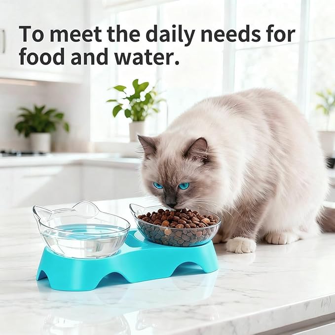 MILIFUN Cat Bowls, Cat Food Bowls Elevated Tilted, Anti Vomiting Kitty Bowl for Puppy and Bunny, Orthopedic Bowl for Indoor.(Blue)
