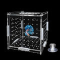 GKPONSX Acrylic Fish Breeding Box, Transparent Fish Isolation Box Hatchery Incubator with Suction Cups for Aquarium Fish Tank Guppy Shrimp Clownfish African Cichlids (4 * 4 * 4inch)