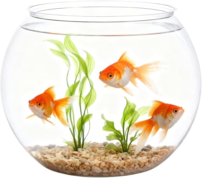 Clear Glass Fish Bowl - Shatter Resistant Aquarium Container, Decorative Water Vessel, Sturdy Elegant Design, Easy Cleaning Setup, Table Centerpiece Accessory, Indoor Party Display, Home Event Decor