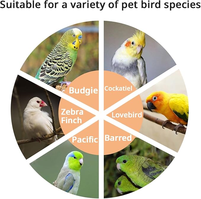 MANON ROSA Natural Spray Millet Healthy Bird Treat and Supplement for All Pet Birds Cockatiel Budgie Finches Parrots Hamster (S(5))
