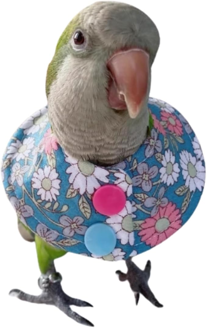 Bird Collar - Anti-Bite Elizabethan Recovery Cone Feather Plucking Protector Skin-Friendly Neckwear for Parakeets Conures Cockatiels Lovebirds Budgies Cockatoos African Grey Random Color (L)