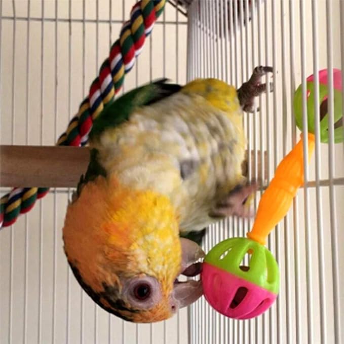 2 Pcs Bird Parrot Toy Rattle Birds Fun Exercise Plastic Double-Headed Bell Pet Toys Small and Medium Birds Foraging Foot Toy,Bird Toys, Pet Supplies