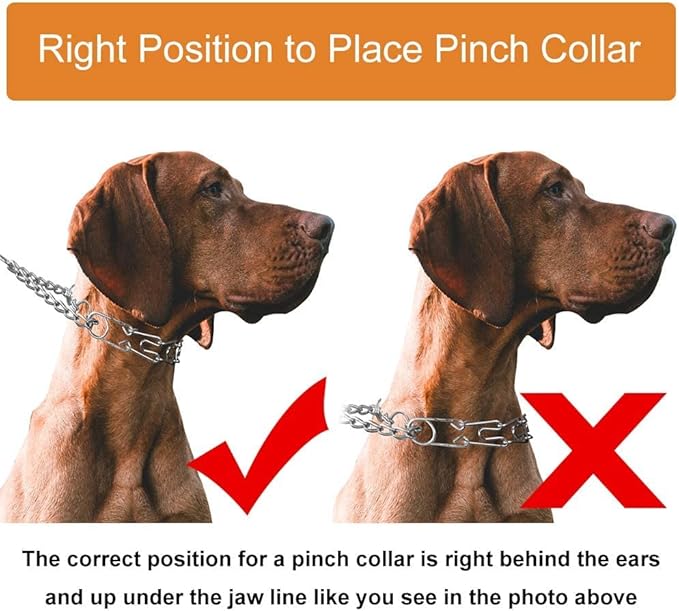 CBBPET Dog Prong Collar, Adjustable Dog Training Collar with Quick Release Buckle for Small Medium Large Dogs (Silver, XL /4.0mmNeck: 20"-23'' Weight:90 lbs)