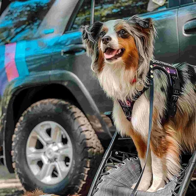 Auroth Tactical Dog Harness for Small Medium Large Dogs No Pull Adjustable Pet Harness Reflective K9 Working Training Easy Control Pet Vest Military Service Dog Harnesses (M, Purple Camo)