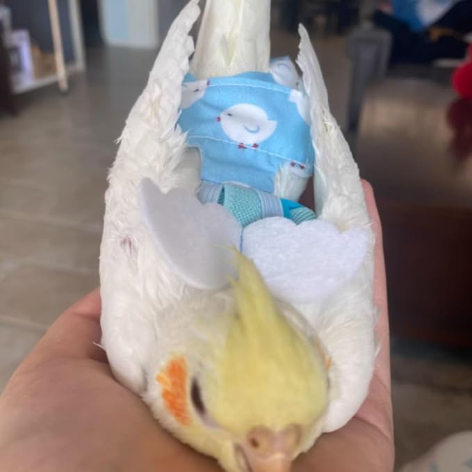 Adjustable Bird Diaper Harness Flight Suit Clothes with 80 Inch Flying Leash Rope for Parrots Conure Cockatiel (Blue,2M)