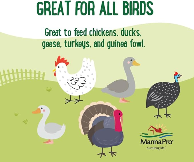 Manna Pro Farmhouse Favorites Mealworms Poultry Treat - Protein Treat for Poultry - Chickens, Turkeys, Ducks, Geese, and Guinea Fowl Treat - Contains 50% Protein - 100% Natural Poultry Snack - 2lbs
