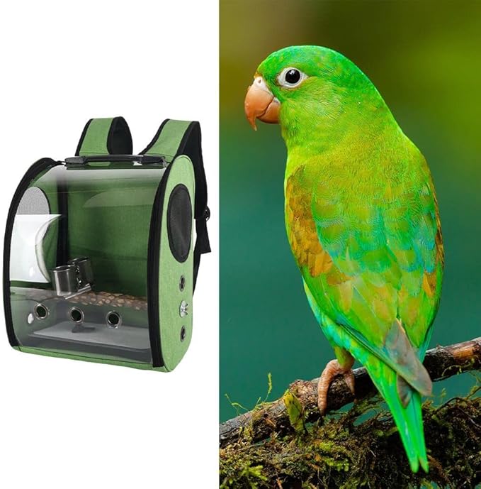 Compact Carrier for Birds with Clear View and Travel Features, Green
