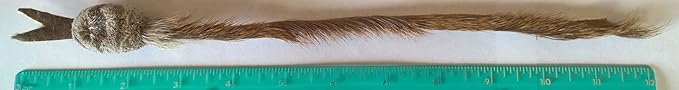 Fun Rat Pack Snake Refill/Attachment - Fits Wildcat and Popular Bird and Mouse Type Wands/Poles