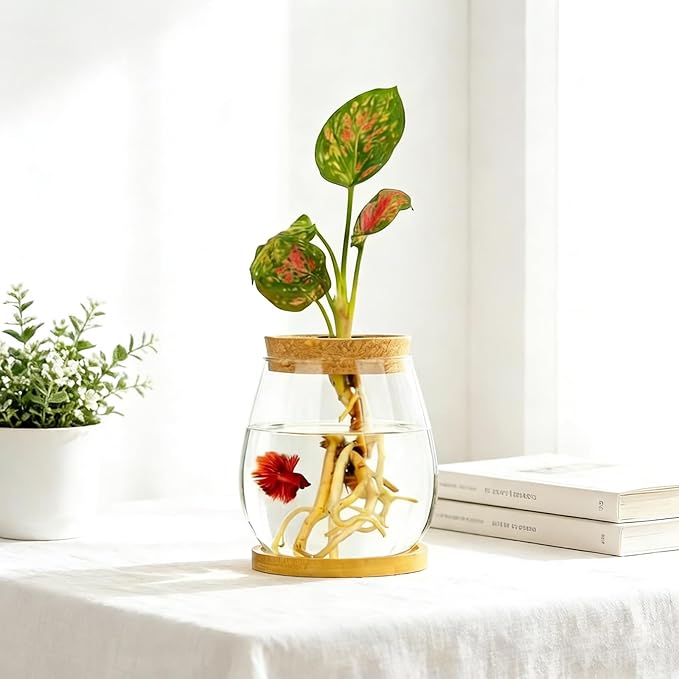 0.5 Gallon Fish Bowl Betta Fish Tank Glass Aquarium with Wood Lid & Bamboo Stand – Hydroponic Plants Planter, Glass Vase, Gift