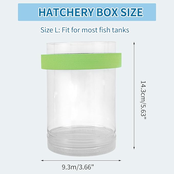 Suspensions Breeder Box, Floating Mesh Isolation Fish Tank Separator Set, Ideal for Aquatic Pets, Large, Green, 1 Set