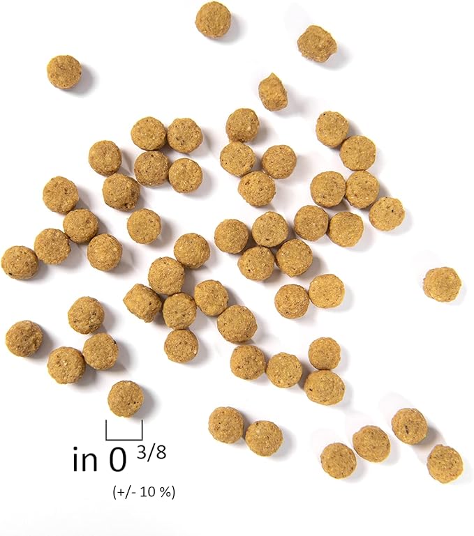 Psittacus High Protein 1.8 lb | Complete Pellet Diet for Amazons, Cockatoos and Ringneck Parrot | Premium Food for Birds, 100% no-GMO