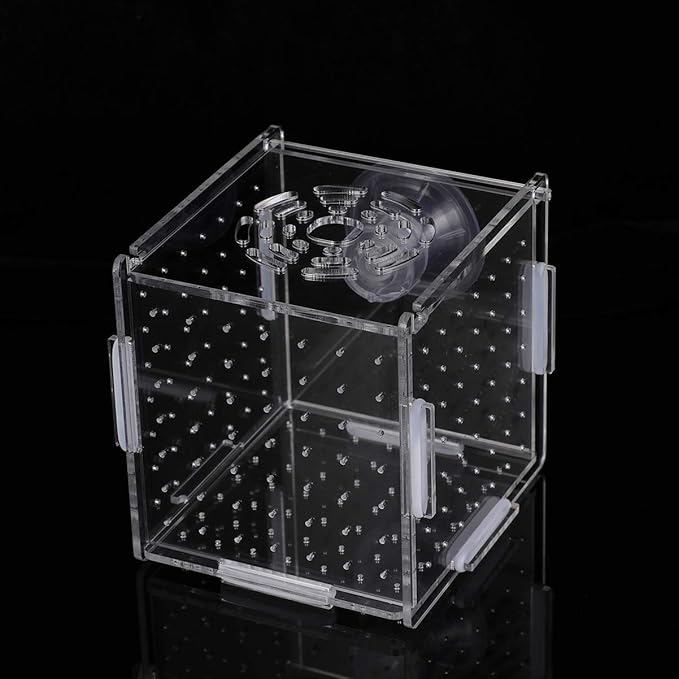 Fish Breeding Box- Box Hatchery Incubator Aquarium Fish Breeding Boxes Divider Hatching Boxes Accessory for Small Shrimp Clownfish Guppy-Small Suction Cup