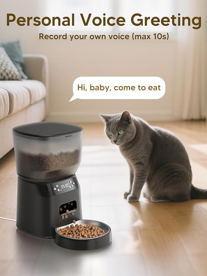 Automatic Cat Feeder and Water Fountain, 4L/16Cups Pet Dry Food Dispenser 2L Water Dispenser, Locking Lid, Programmable Timer 6 Daily Meals, 10s Voice Recorder, Cat Accessories for Puppy Kitten