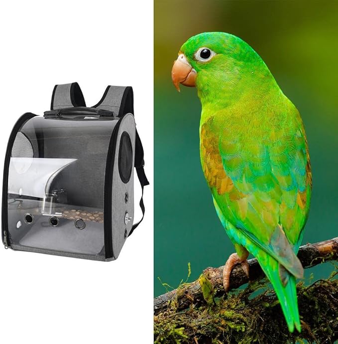 Compact Carrier for Birds with Clear View and Travel Features, Gray