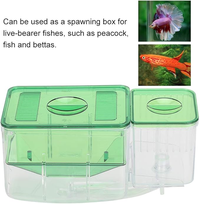Fish Breeding Box, Transparent Aquarium Little Fish Breeding Hatching Box, Fish Tanks Double Layer Isolation Box Hatchery Incubator for Injured Small Fish Shrimp