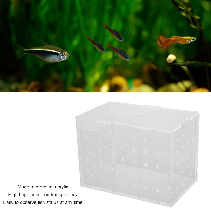 Fish Breeder Box, High Transparency Acrylic Hatchery Incubator Tank, Aquarium Fish Breeding Box with Suction Cups, Isolation Box for Baby Fishes Shrimp Clownfish, Easy to Observe a (11 * 7 * 8CM)