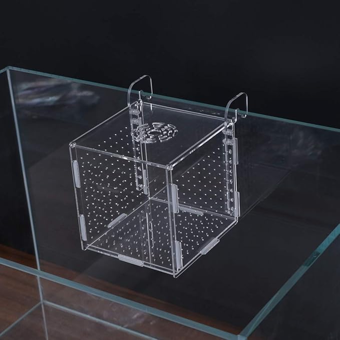 Aquarium Fish Breeding Box - Transparent Acrylic Fish Tank Hatchery Hanging Incubator for Shrimp Clownfish (Hook 151516cm)