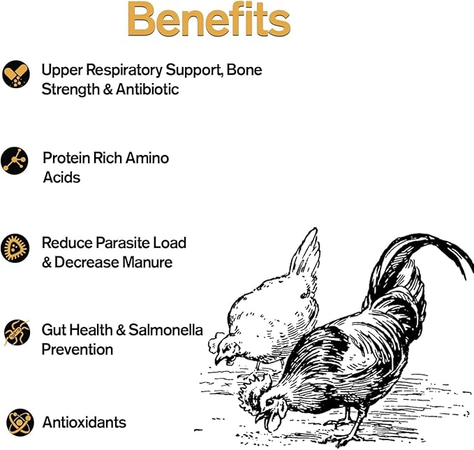 Naturally Fortified Treats – Protein Rich Supplement Suitable for Chickens, Hens and Ducks, Hand Mixed with USA Grown Ingredients – Solstice Blend – 32oz