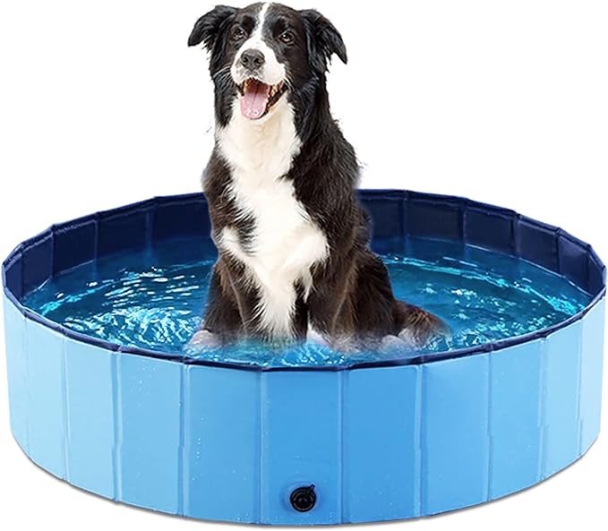 Jasonwell Foldable Dog Pool Collapsible Hard Plastic Dog Swimming Pool Portable Kiddie Pool Pet Pool Doggie Wading Pool Bath Tub for Puppy Small Medium Large Dogs Cats and Kids 32" PP Blue