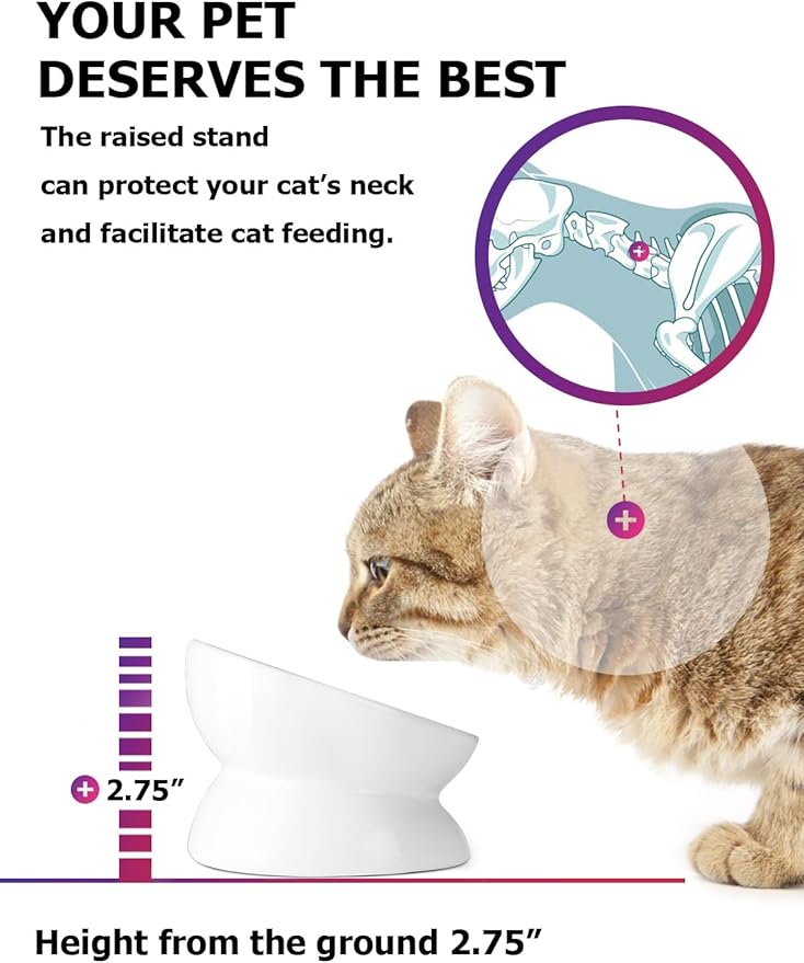 Y YHY Cat Bowl Anti Vomiting, Raised Food Bowls, Tilted Elevated Bowl, Ceramic Pet Food Bowl for Flat Faced Cats, Small Dogs, Protect Pet's Spine, Dishwasher Safe (5 Inches, White)