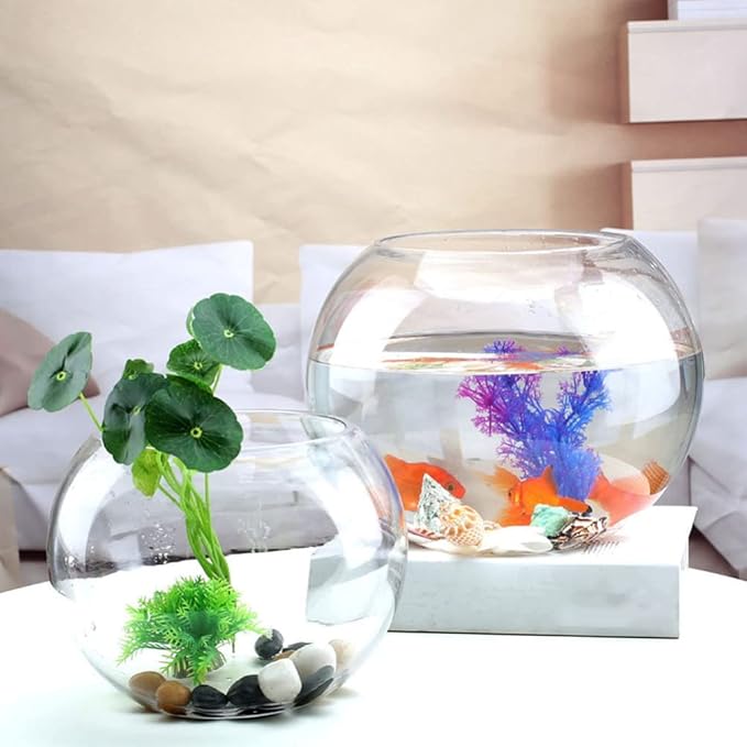 Round Glass Fish Bowl Clear Desktop Aquarium for Small Fish Hydroponics Decor for Home Office Garden