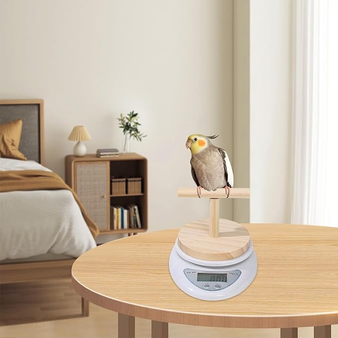 Parrot Weighing Scale – Bird, Electronic Scale | Small Animal Feeding Weight Tool for Xuanfeng Tiger Skin Peony, Measuring Bird Food Grain and Milk Powder for Daily Health Monitoring and Pet