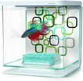 Marina Betta Aquarium Starter Kit, Geo Bubbles