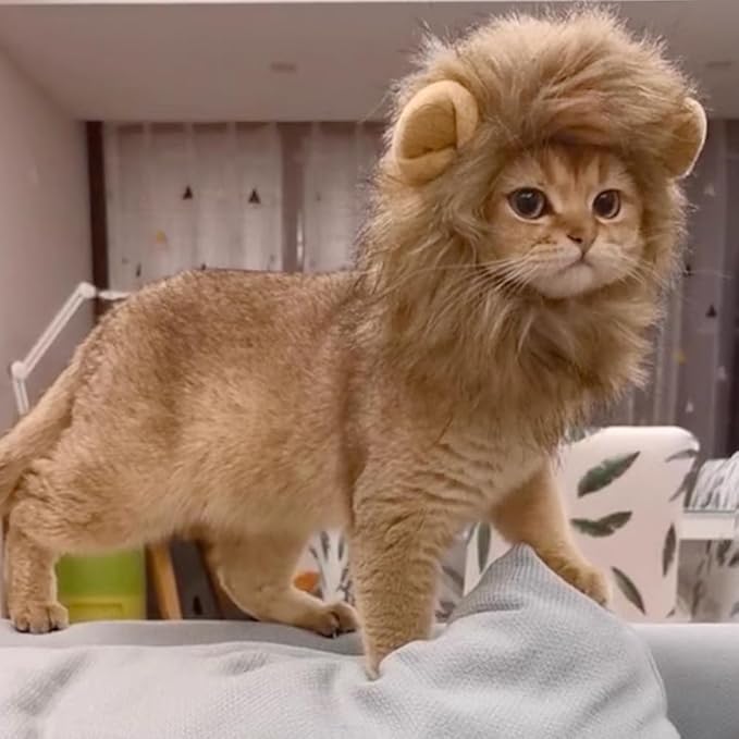 Cat Halloween Costumes - 2 Pcs Lion Mane Wig for Cat & Bunny Rabbit Hat with Ears,Funny Pet Clothes Dress for Halloween,Fits Most Cats(M Size)