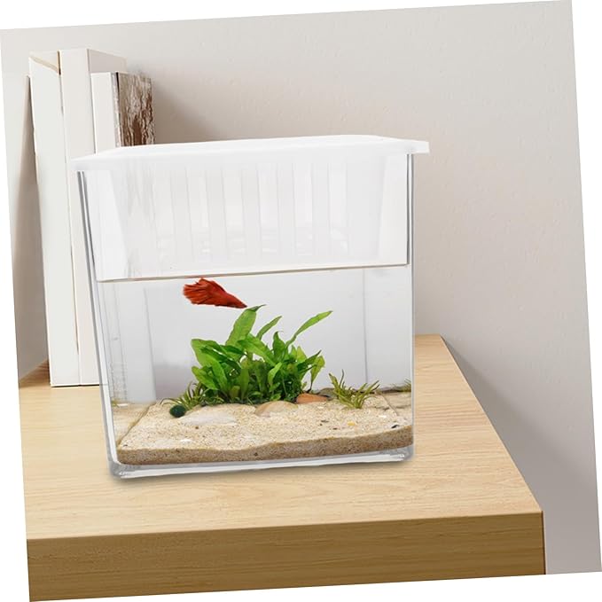 Balacoo Clear Plastic Fish Breeding Box Lightweight Hydroponic Aquarium Planter with Desktop Plant Basket for Betta Fish Terrarium and Tank Decoration Office